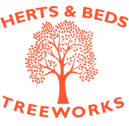 www.hbtrees.co.uk